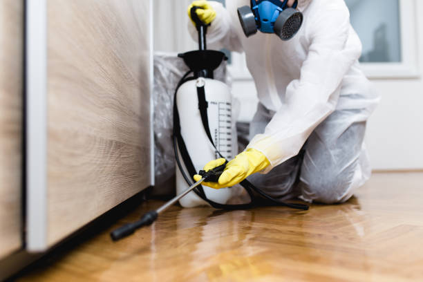Best Residential Pest Control  in Siloam Springs, AR