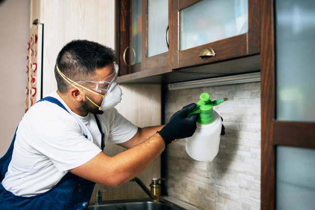 Best Best Pest Control Companies  in Siloam Springs, AR