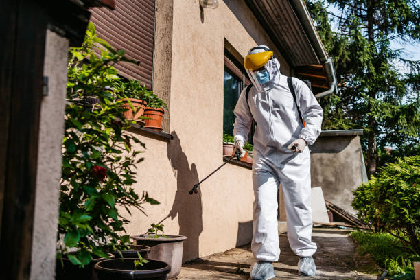 Best Local Pest Control Services  in Siloam Springs, AR