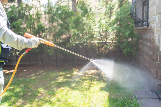 Professional Pest Control in Siloam Springs, AR