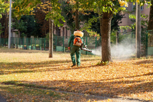 Best Termite Control Services  in Siloam Springs, AR
