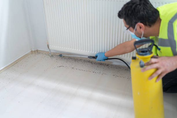 Best Insect Control  in Siloam Springs, AR